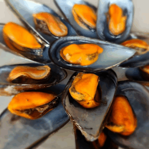 Mejillones Cocidos