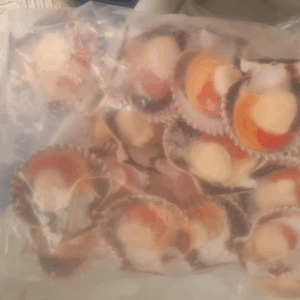 Vieiras del Pacífico Congeladas