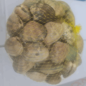 Almeja Japónica Gallega